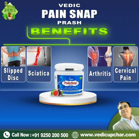 Vedic Pain Snap Prash (450 GM)
