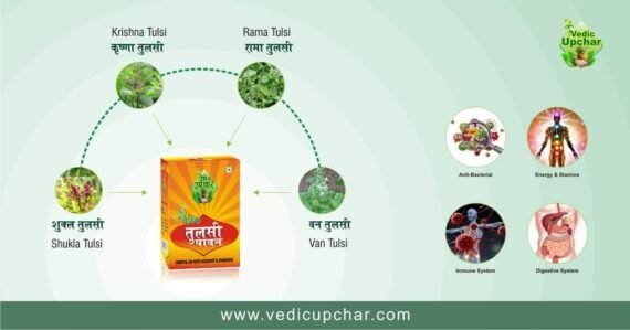 Vedic Upchar Ingredients - Tulsi Paawan