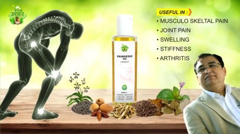 Vedic Upchar Paingesic Oil - Herbs Ingredients