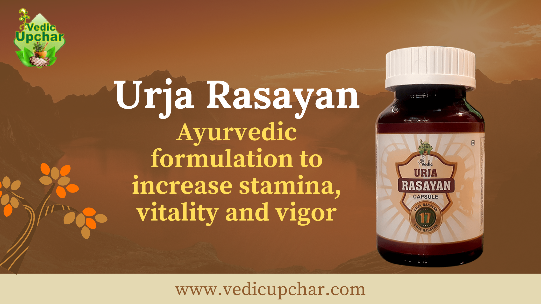 Urja Rasayan Capsule