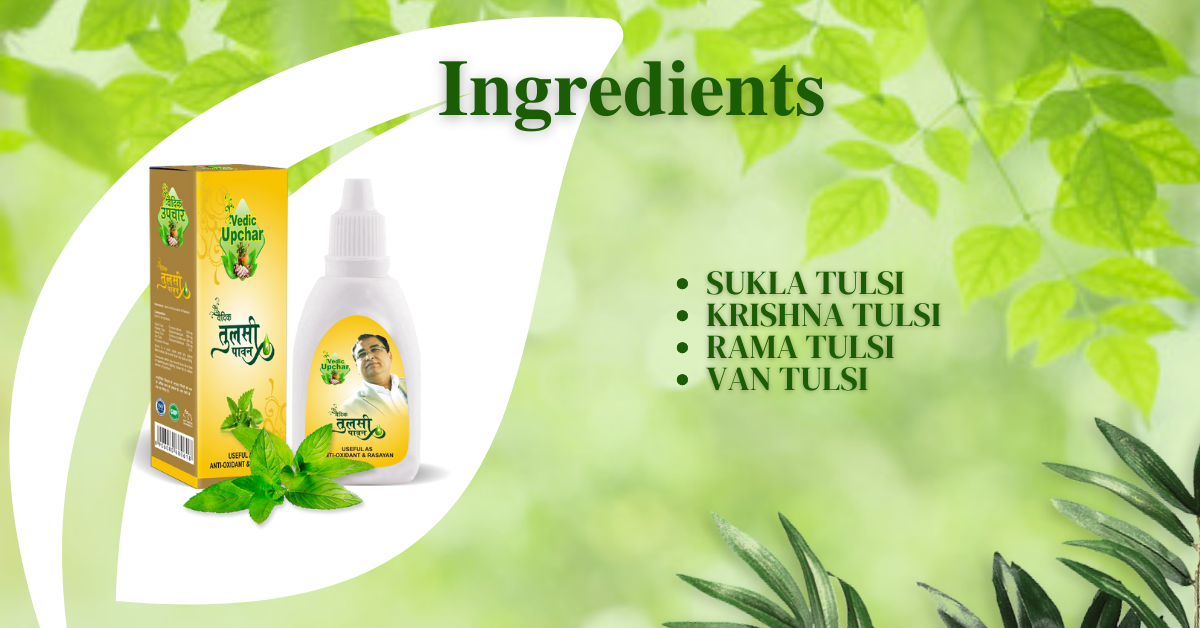 Tulsi 24 ML