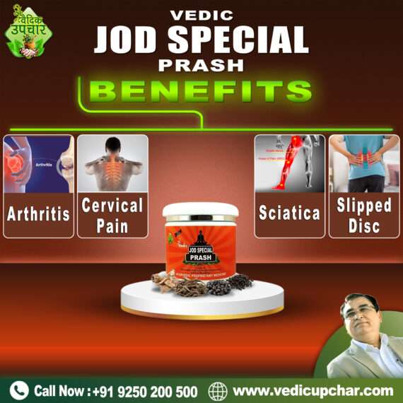 Vedic Jod Special Prash (375 GM)