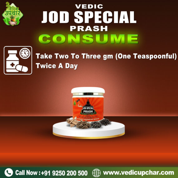 Vedic Jod Special Prash (375 GM)