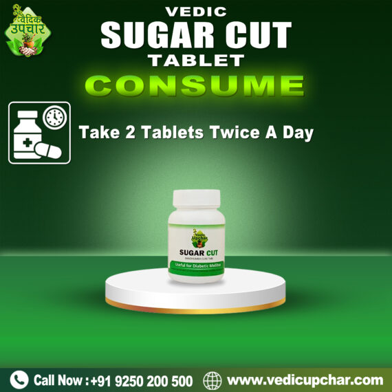 Vedic Sugar Cut Tablet (Tab 60)