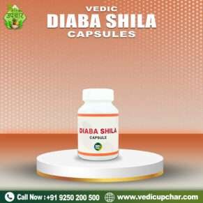 Vedic Diaba Shila Capsule (60 Caps)