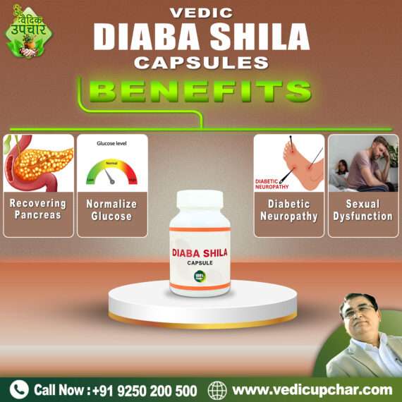 Vedic Diaba Shila Capsule (60 Caps)
