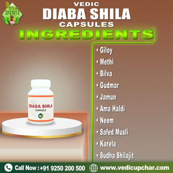 Vedic Diaba Shila Capsule (60 Caps)