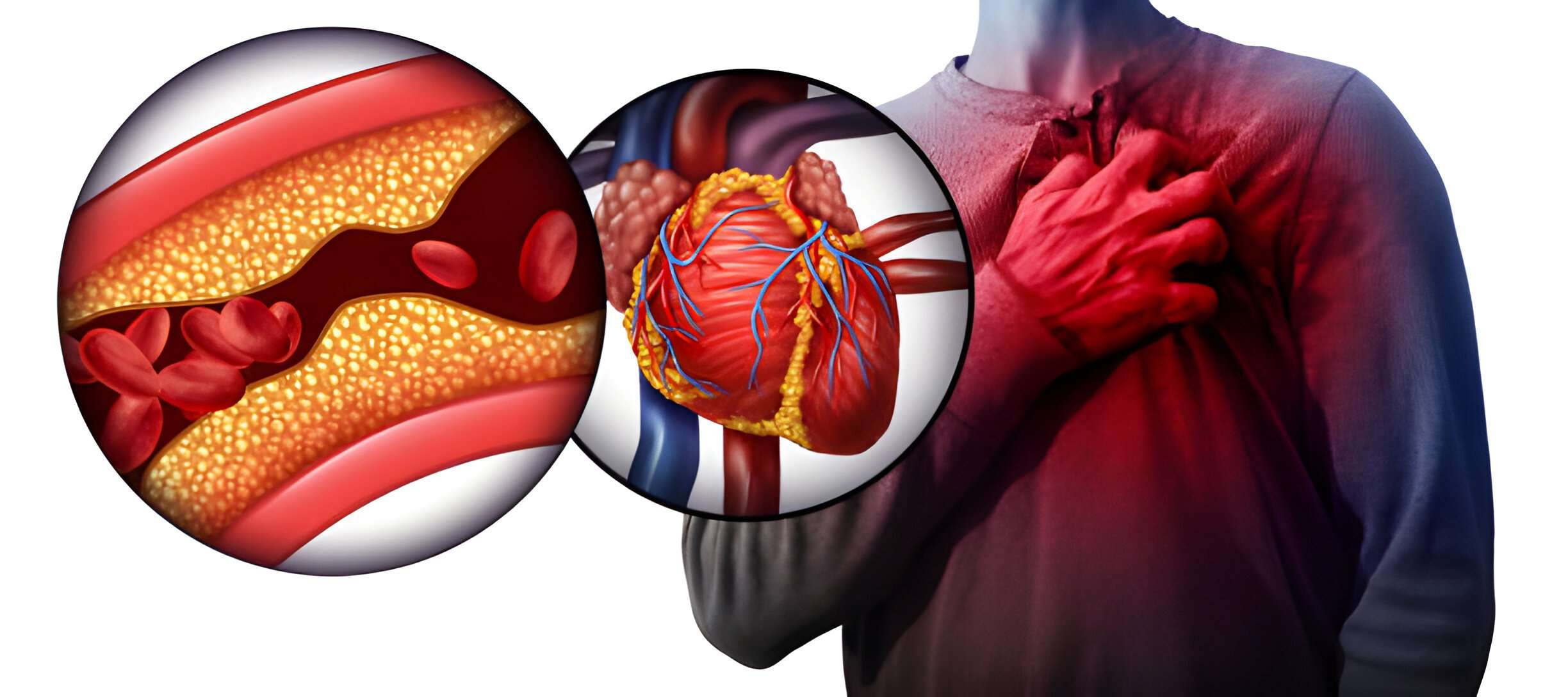 Best Ayurvedic Treatment for Heart Blockage: Natural Remedies & Herbal Medicine