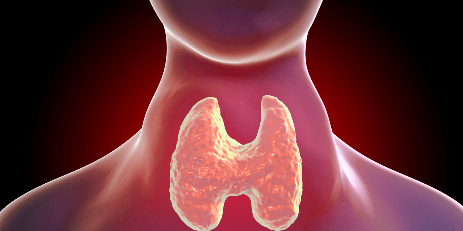 Top 5 Best Ayurvedic Medicines for Thyroid Problems in 2025